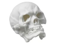 Porcelain Skulls Image 4