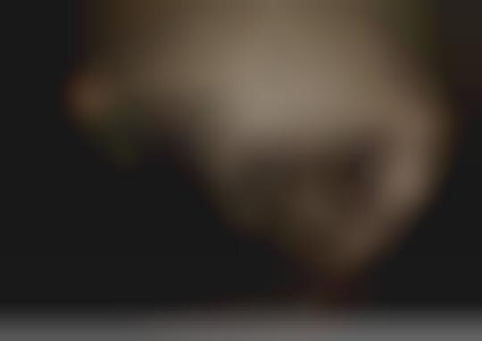 Unhappy Vixen Photography