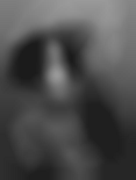 Haunted Puppetography