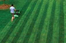 Major League Lawn Mowers