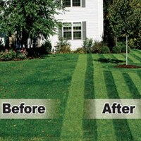Major League Lawn Mowers Image 3