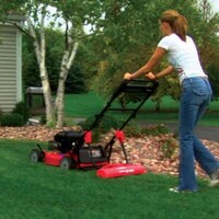 Major League Lawn Mowers Image 4