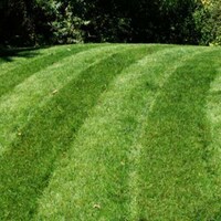 Major League Lawn Mowers Image 5