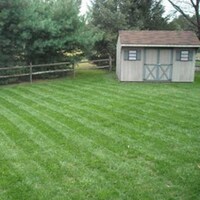 Major League Lawn Mowers Image 6