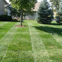 Major League Lawn Mowers Image 7