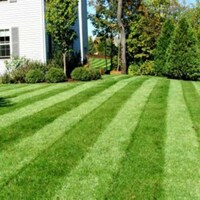 Major League Lawn Mowers Image 8