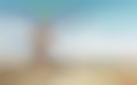 Fruitless Veggie Chases