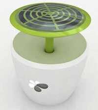 Solar Flowerpots Image 2