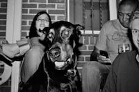 Grainy Gray Photography Image 4