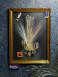 Tabloid Idolatry Image 3