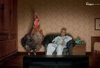 Peeping Rooster Ads Image 2