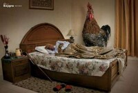 Peeping Rooster Ads Image 3