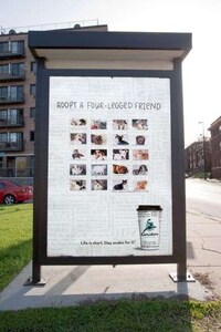 Interactive Java Ads Image 4