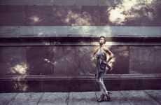 Sun-Dappled Photography