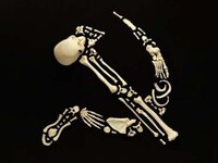 Anatomical Weaponry Art Image 2