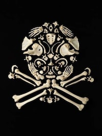 Anatomical Weaponry Art Image 7