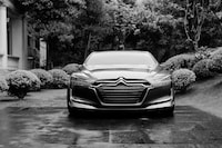 Lean, Green Luxury Sedans Image 2