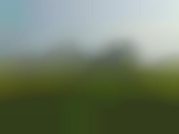 Flying Naked Photography
