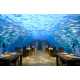 Underwater Hotels (UPDATE) Image 7