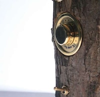 Woodpecker Alarm Clocks Image 3