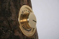 Woodpecker Alarm Clocks Image 4