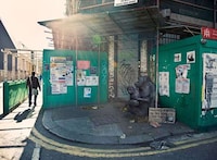 Homeless Wild Animals Image 4