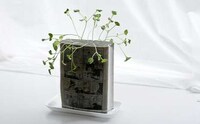Comic Book Gardens Image 3