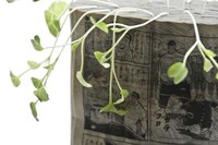 Comic Book Gardens Image 4