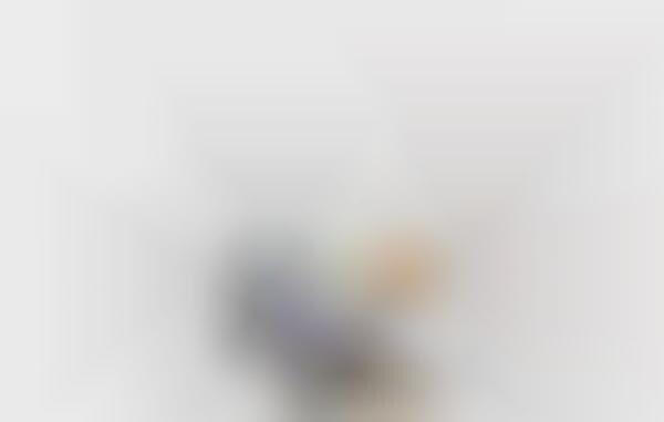 Customizable Feed Scanners