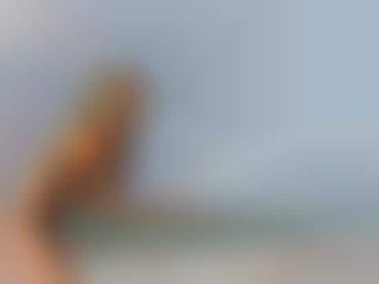 Secluded Sandy Shots