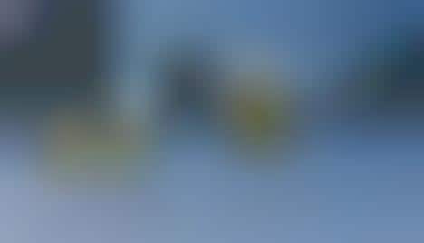 Wild Tree-Climbing Beers