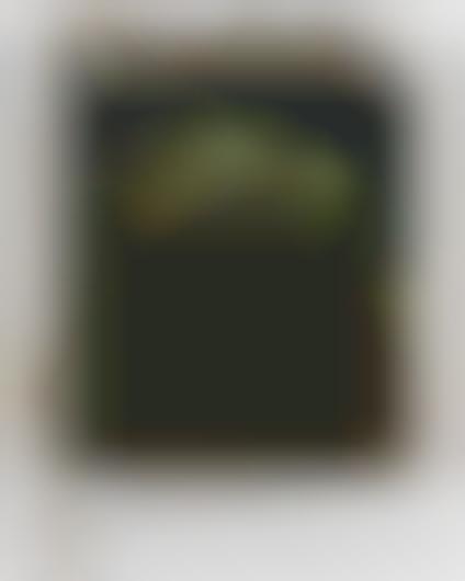 Morose Modern Art