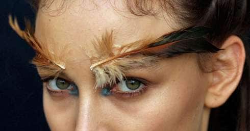 Wild Feather Eyebrows
