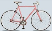Customized Rainbow Bikes Image 4
