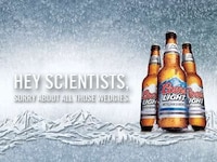 Peekaboo Beer Packaging Image 8
