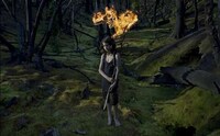 Eerie Forest Kidtography Image 3