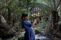 Eerie Forest Kidtography Image 8