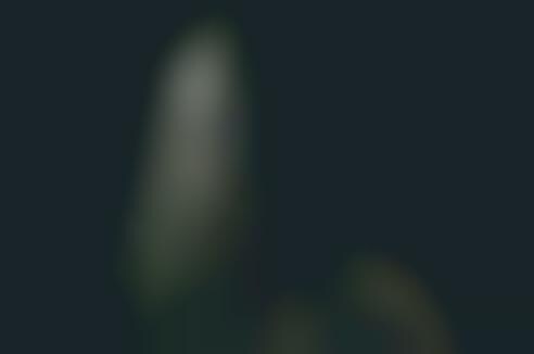 Ghostly Black-Veiled Brides