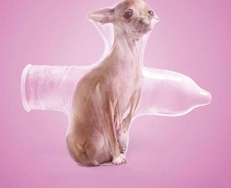 55 Clever Contraception Campaigns