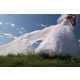 Dissolving Wedding Dresses Image 3