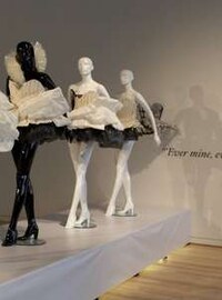 Dissolving Wedding Dresses Image 4