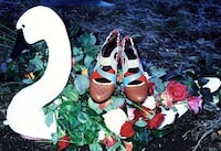 Forest Fairy Shoetography Image 2