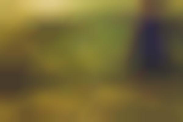 Farmland Fashiontography