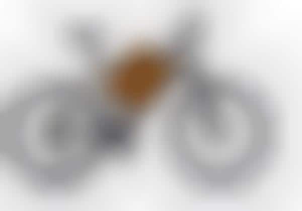 Bicycles for Businessmen