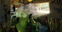Fantastical Nighttime Photography Image 2