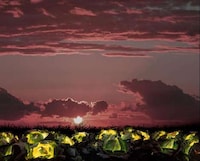 Fantastical Nighttime Photography Image 4