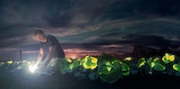 Fantastical Nighttime Photography Image 6