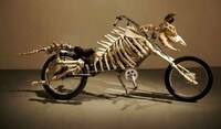 Skeletal 'Mootorcycles'