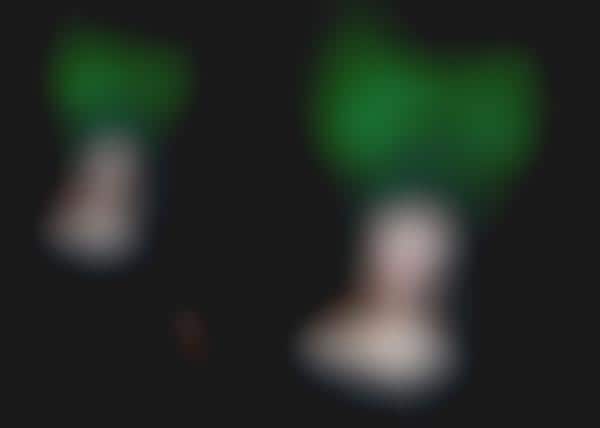 Giant Green Bows