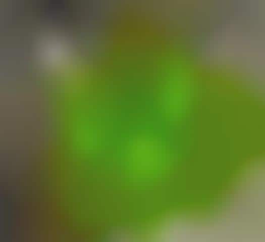 Detergent Bottle Lighting